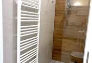 Neusanierte 1 Zimmerwohnung