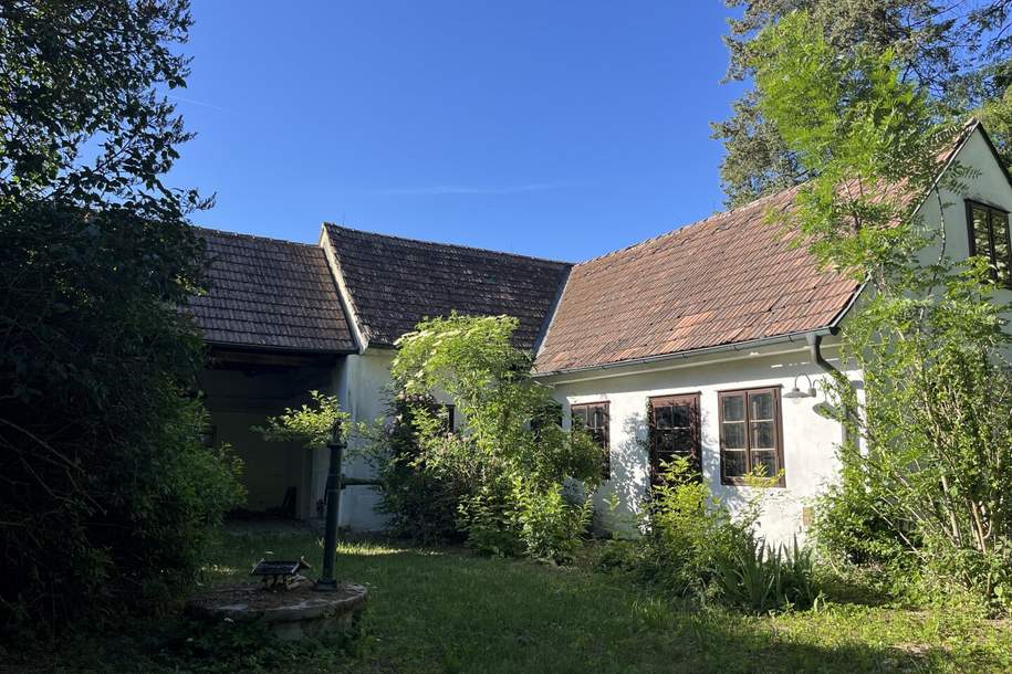 Historisches Anwesen mit unberührtem Waldparadies in Hanglage!, Haus-kauf, 295.000,€, 2114 Mistelbach