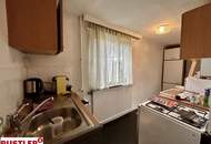 Haus - 4 Zimmer, 2 Badezimmer und 100m² Garten in 1230 Wien zu mieten