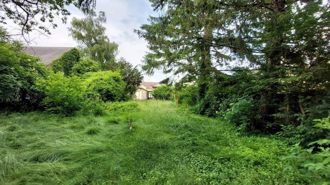 "Baugrund beim Schlosspark in Pottendorf"