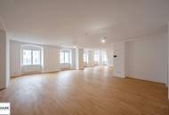 VIDEO-TOUR: traumhafte 3 Zimmer DG-Wohnung mit großem Wohnsalon in Bestlage * mit Blick zum Stephansdom *