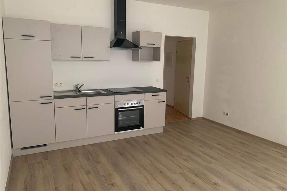 günstige Garconniere im Stadtzentrum, Wohnung-miete, 392,48,€, 4910 Ried im Innkreis