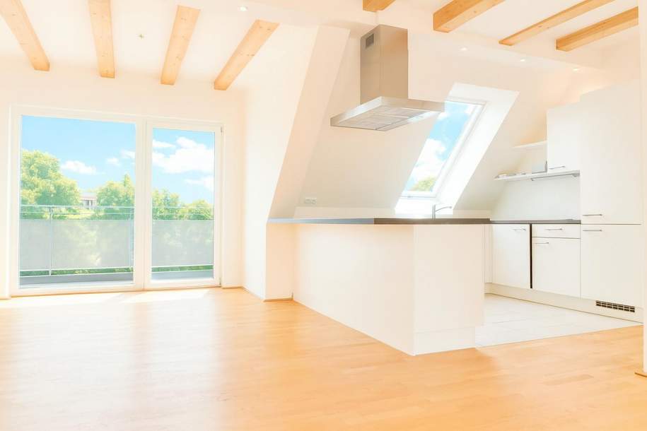 DG-Wohnung mit Traumausstattung und 50m² Dachterrasse - Nähe Karmelitermarkt und 1. Bezirk!!, Wohnung-miete, 3.495,00,€, 1020 Wien 2., Leopoldstadt