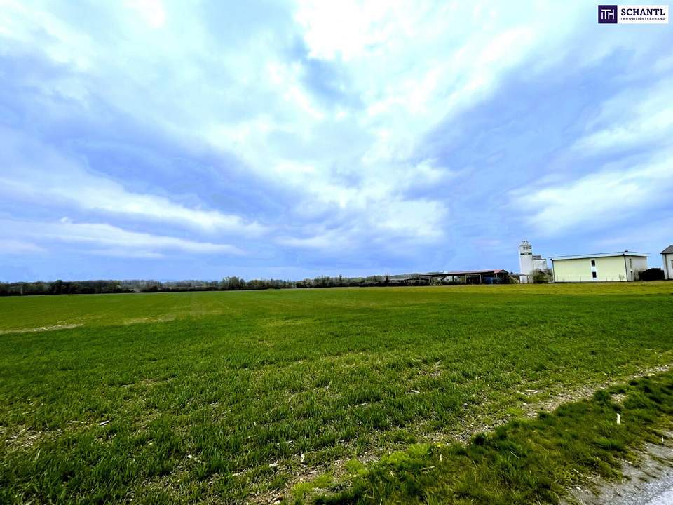 Rarität! Landwirtschaftliches Grundstück in Ebergassing – ca. 40.000 m² Ackerfläche mit enormen Wertsteigerungspotential zu verkaufen!