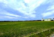 Rarität! Landwirtschaftliches Grundstück in Ebergassing – ca. 40.000 m² Ackerfläche mit enormen Wertsteigerungspotential zu verkaufen!