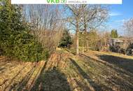 Großzügiges Grundstück in Spattendorf - Gemeinde Alberndorf in der Riedmark (GST 2443/1)