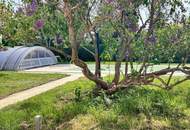 Low-energy house, very sacious with an additional office/practice or apartment of 70 m². Completely renovated in 2023. - WOHNTRAUM