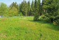 Schöner, ruhiger und großer Baugrund in Preitenegg - 1.100 m ü. A.