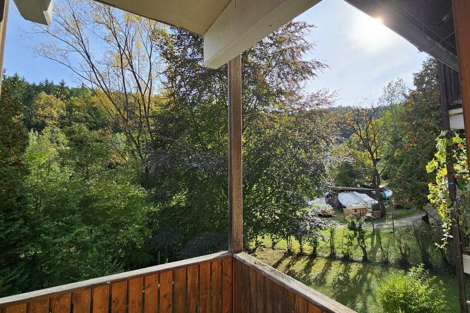 1 Zimmerwohnung in ruhiger, "grüner" Lage neben dem Stift Rein, Wohnung-miete, 611,03,€, 8103 Graz-Umgebung