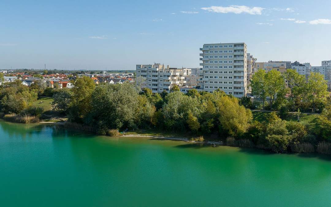 Sommer am Teich - im Leo am Teich - Wohnen am Wasser