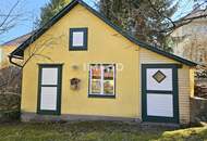 Repräsentative Villa in Zwettl mit 2137 m² Grundstück - Wohnen und Arbeiten stilvoll vereint