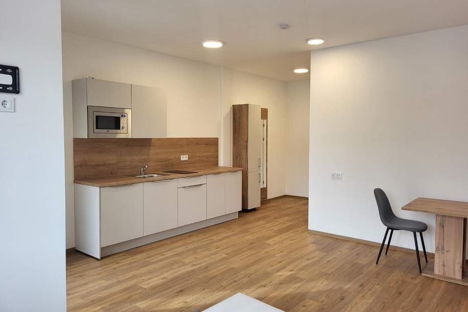 Möbliertes 1-Zimmer-Apartment mit Loggia € 560,- inkl. BK, HK, Strom u. Wlan, Wohnung-miete, 560,00,€, 4770 Schärding