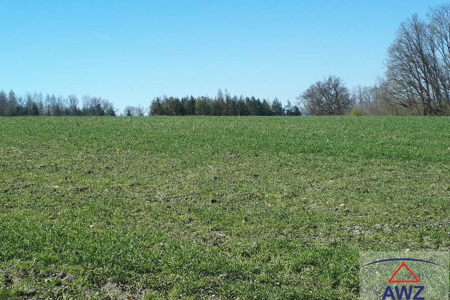 Grund statt Sparbuch! GrÃŒnland am Ortsrand!, Grund und Boden-kauf, 9,€, 4675 Grieskirchen