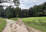 Ca. 9 ha Waldfläche zwischen Gurten und Eitzing - überwiegend Nadelholz