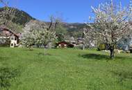 Idyllisches Grundstück in Obermillstatt - mit baubewilligter Planung für ein tolles Einfamilienhaus mit Pool