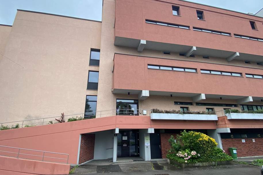Büroflächen mit Lagerhalle in Linz Industriezeile, Gewerbeobjekt-miete, 7.377,67,€, 4020 Linz(Stadt)