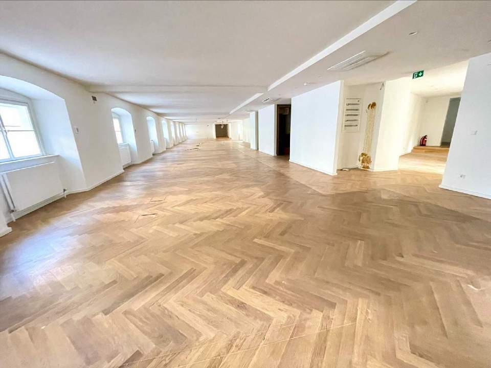 Repräsentative Büroetage im Herzen Wiens zu mieten: Arbeiten im geschichtsträchtigen Palais Harrach