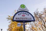 Alte Donau: Kleingartengrundstück mit Altbestand und Entwicklungspotenzial