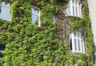 Charmante Büroflächen mit Loft-Charakter in zentraler Lage