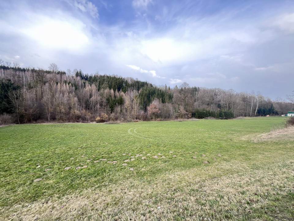 Waldfläche in St. Florian zu verkaufen!