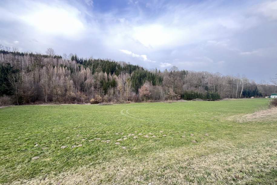 Waldfläche in St. Florian zu verkaufen!, Grund und Boden-kauf, 144.625,€, 4782 Schärding