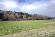 Waldfläche in St. Florian zu verkaufen!