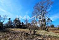 Bauträger oder Privatperson: Traumhaftes, großes Grundstück mit Altbaumbestand in ruhiger Lage