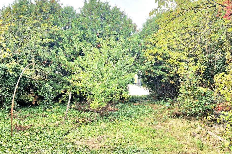 BAUGRUND, Grund und Boden-kauf, 235.000,€, 7122 Neusiedl am See