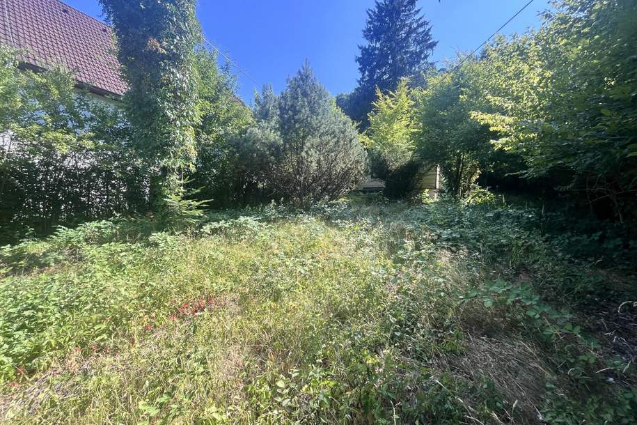 "Rarität in Mauerbach", Grund und Boden-kauf, 399.000,€, 3001 Sankt Pölten(Land)