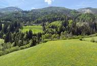 Wo die Zeit stillsteht - Sommerhaus in Alleinlage im Nationalpark Hohe Tauern