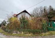 Sanierungsbedürftiges Haus auf großem Grundstück! Erwecken Sie es aus dem Dornröschenschlaf!
