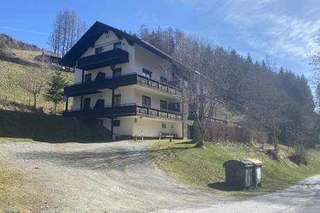 Gemütliche Wohnung rasch verfügbar - Nähe Kreischberg, Wohnung-kauf, 129.000,€, 8861 Murau