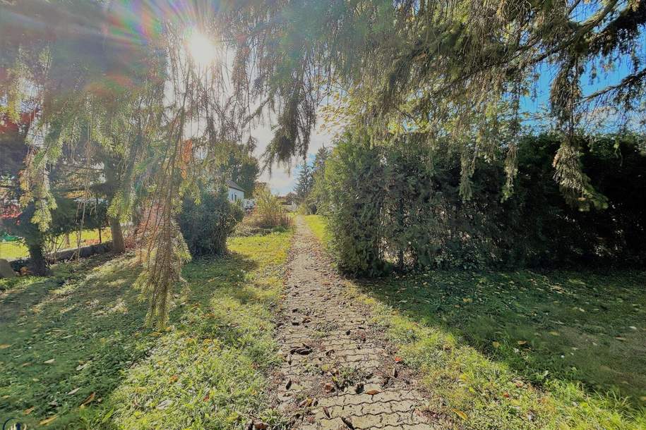 Traumhaftes großes Baugrundstück in Zwentendorf !, Grund und Boden-kauf, 199.000,€, 3435 Tulln