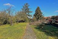 Traumhaftes großes Baugrundstück in Zwentendorf !