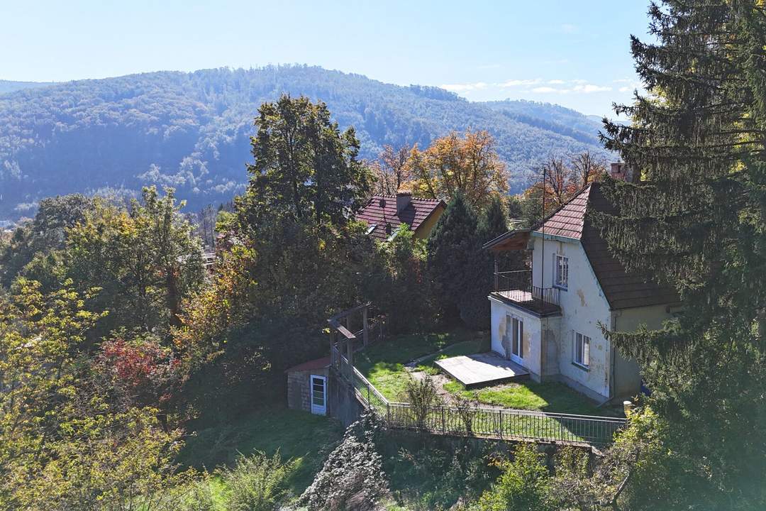 Sonniger Osthang mit Althaus in erhöhter, ruhiger Traumlage am Waldrand