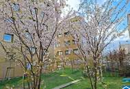 WOHNQUARTIER WILDGARTEN - 2-Zimmerwohnung mit Balkon direkt am Rosenhügel