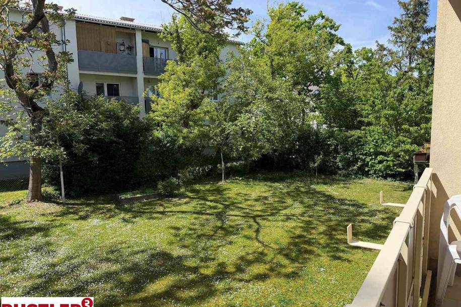 Helle 1-Zimmer-Wohnung mit Loggia in Toplage Mödling, Wohnung-miete, 642,42,€, 2340 Mödling