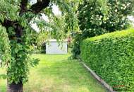 Ein prachtvoller Wintergarten bietet eine ganzjährige Verbindung zur Natur - großes Einamilienhaus in begehrter Lage in St. Pölten (Wagram)