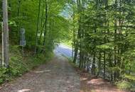 Schmuckstück am Semmering! Wohnen oder vermieten?