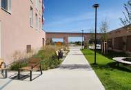 JONAS AM FELD! HOLEN SIE SICH EINE DER LETZTEN FREIEN EINHEITEN!