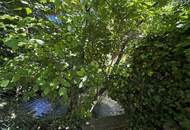 Massive Preisreduktion!TOP-Innenstadtliegenschaft mit Garten am Stadtpark!!! 3 Wohneinheiten!