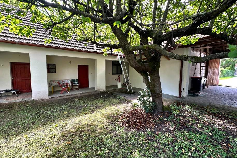 Wohnen & Entspannen im Weinviertel – Charmantes Landhaus mit großem Garten, eigenem Weinkeller und Atelier!, Haus-kauf, 298.000,€, 2143 Mistelbach