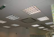 Wohnung mit Geschäftslokal in einem Gebäude (Provisionsfrei)