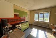 Sanierungsbedürftiges Wohnhaus mit großem Grundstück