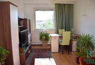 Elegante, großzügige Wohnung - Blick über Wien - Beim Döblinger Steg