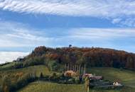 Südsteirische Weinstraße - Hochgraßnitzberg: Zweitwohnsitz! 1-Zimmer-Apartment mit Terrasse, Garten, Wellnessbereich, Fitnessraum &amp; Infinity-Pool!