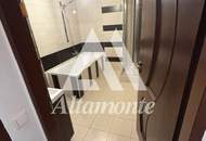 Wohnung mit perfektem Grundriss Nähe AKH