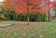 4-Zimmer-Wohnung mit Loggia und Aussicht! Wohntraum mitten in Hartberg