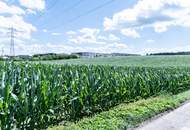 Perfektes Gewerbegrundstück mit Grünblick in Wolfern