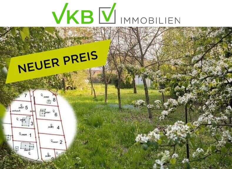 Großzügiges Grundstück guter Lage nähe Gallneukirchen! – Gemeinde Alberndorf in der Riedmark (GST 2438/3)